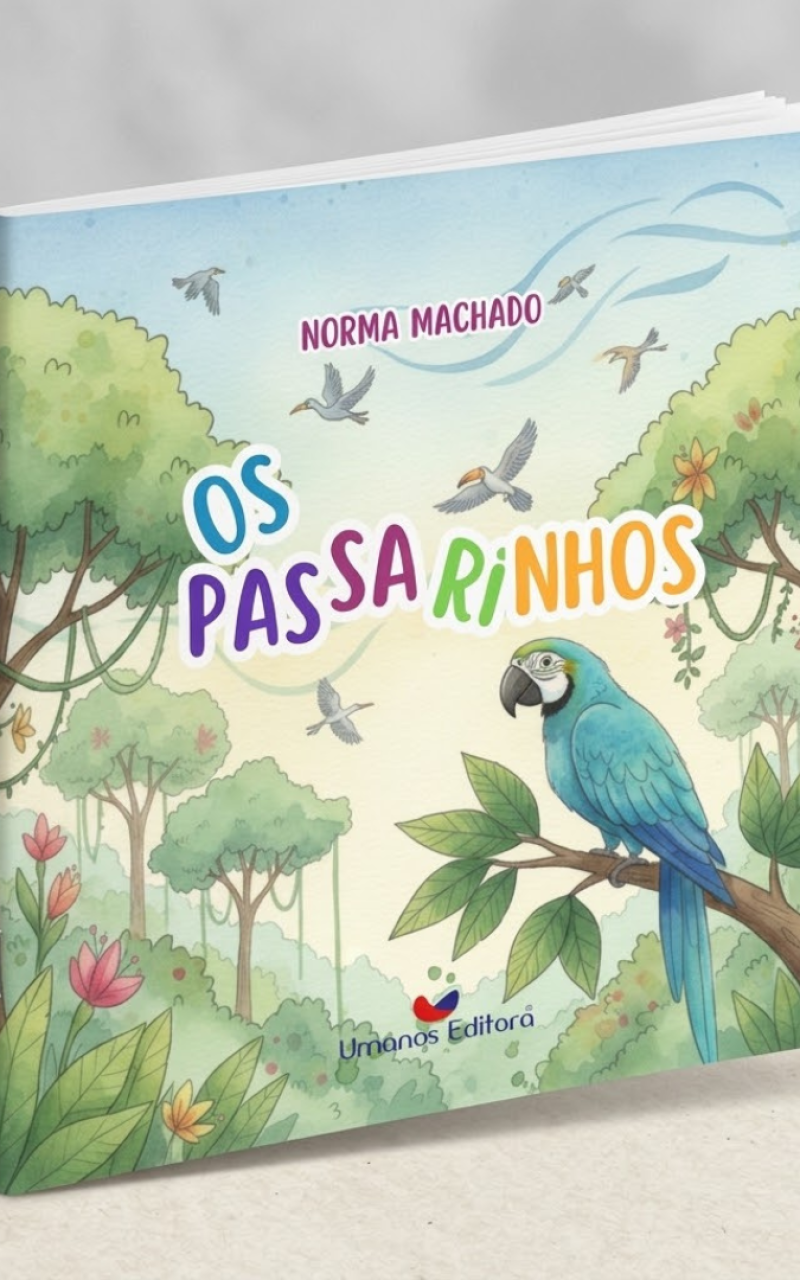 Mockup do livro